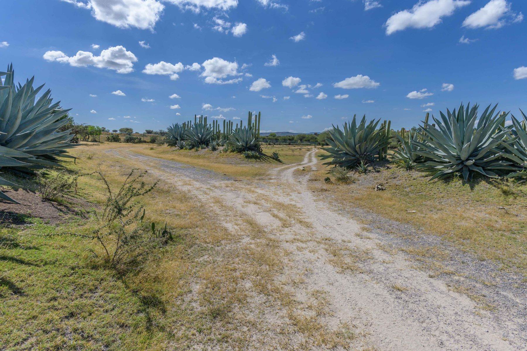 5. Farm and Ranch Properties for Sale at Calzada Los Pinos, Rancho La Aurora San Miguel De Allende, Guanajuato N/P Mexico